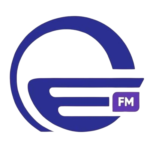 იმედი Radio Logo