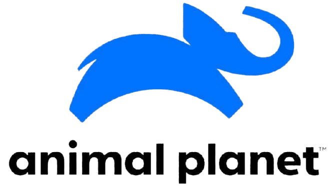Disney Channel Logo