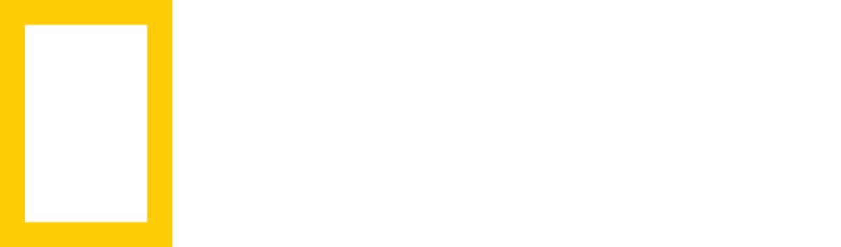 Disney Channel Logo